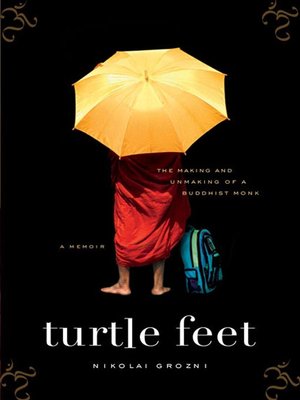 cover image of Turtle Feet